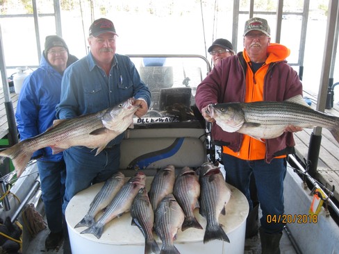 Nice Striped Bass